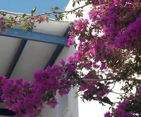 Apartment Apostolis *
